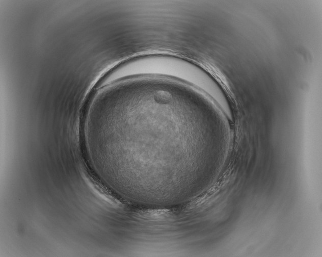 X0000112010108200908031315