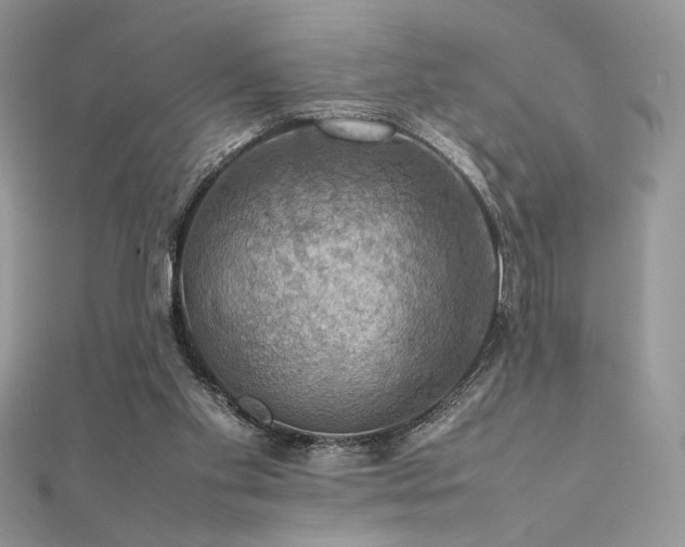 X0000112010109200908031315