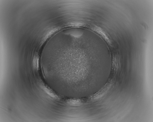 X0000112010110200908031315