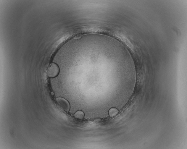 X0000112010111200908031315