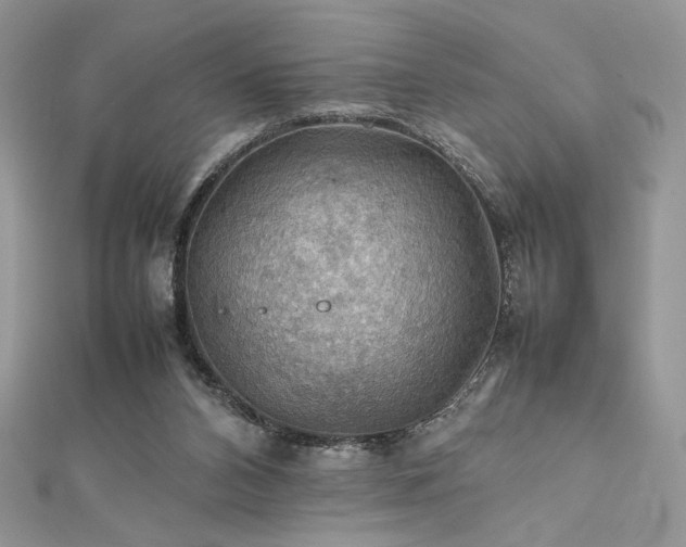 X0000112010112200908031315