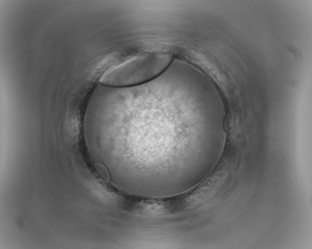 X0000112010113200908031315