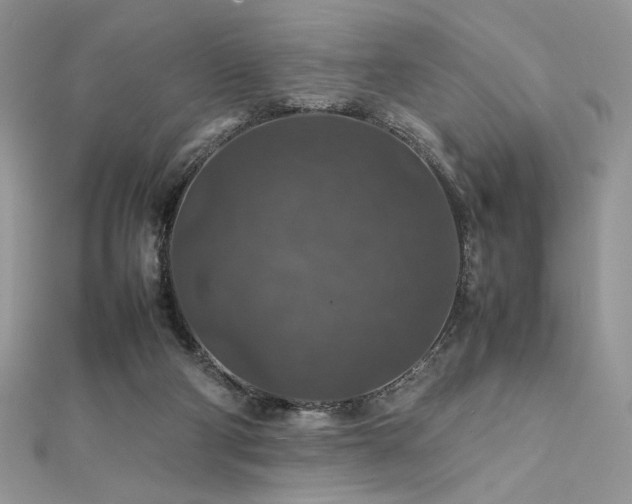 X0000112010114200908031315