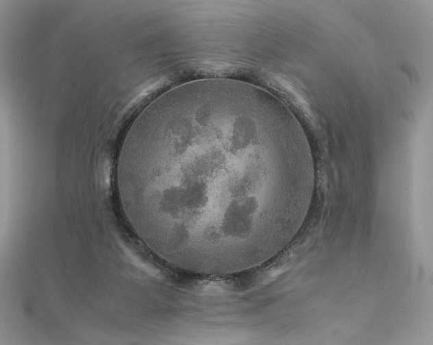 X0000112010115200908031315