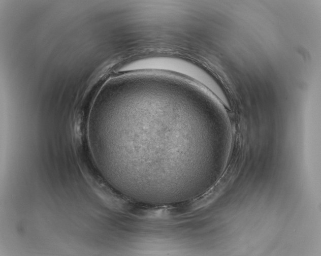 X0000112010116200908031314