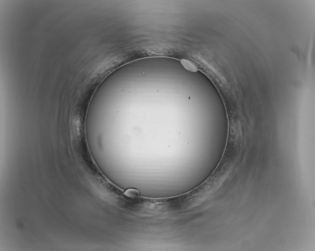 X0000112010117200908031314