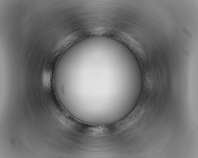 X0000112010118200908031314