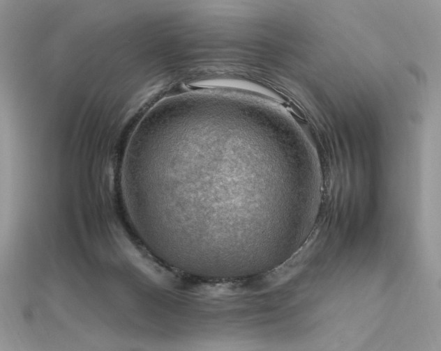 X0000112010120200908031314