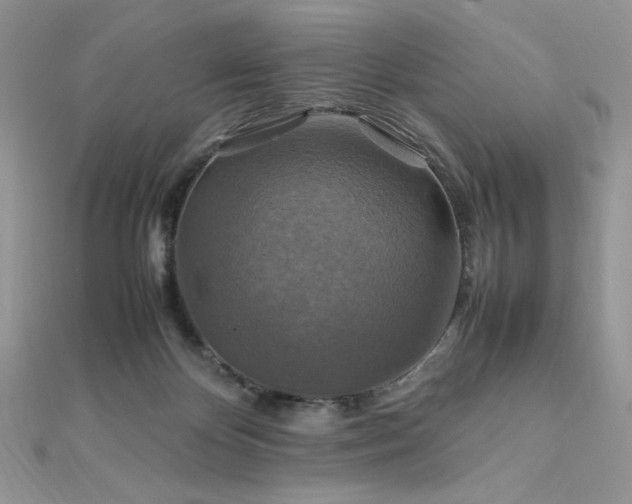 X0000112010124200908031314