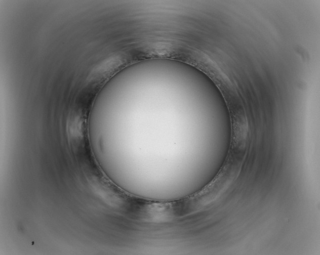 X0000112010126200908031314