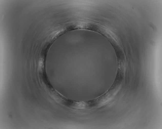 X0000112010127200908031314