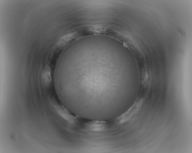 X0000112010128200908031314