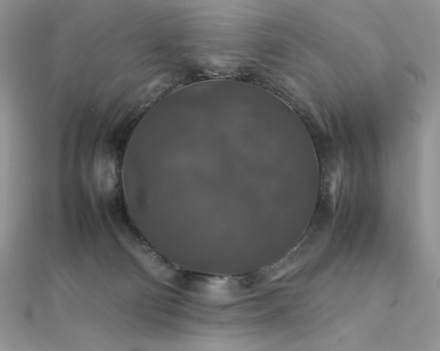 X0000112010130200908031314