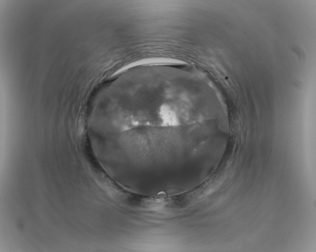 X0000112010131200908031314