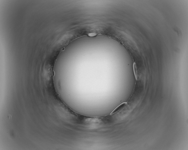 X0000112010133200908031314