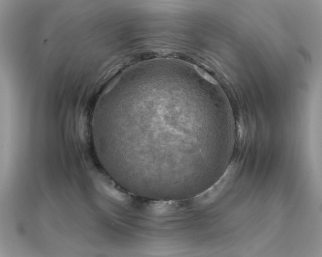 X0000112010136200908031314