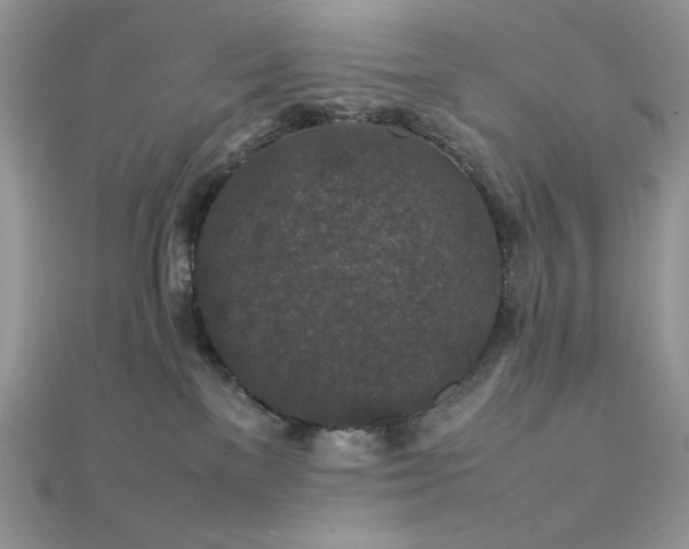 X0000112010137200908031314