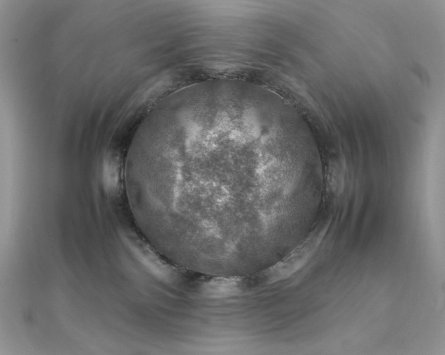 X0000112010138200908031314