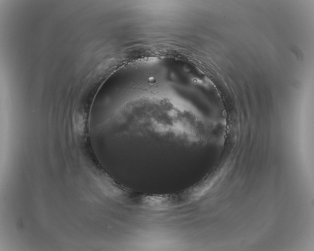 X0000112010139200908031314