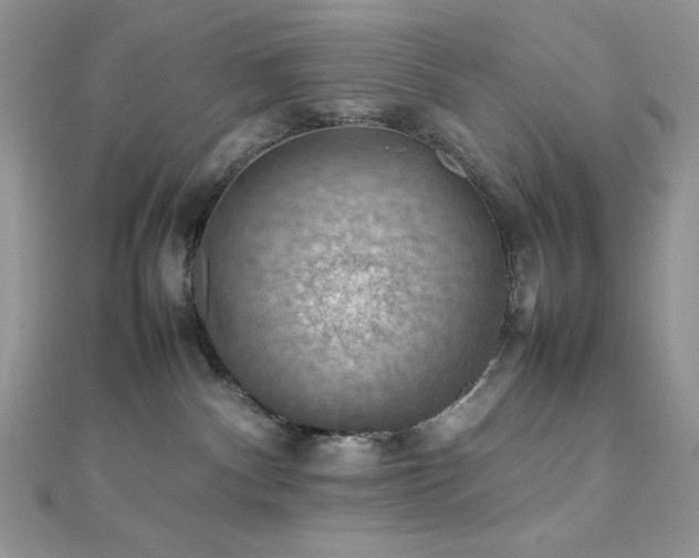 X0000112010140200908031314