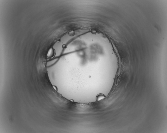 X0000112010141200908031314