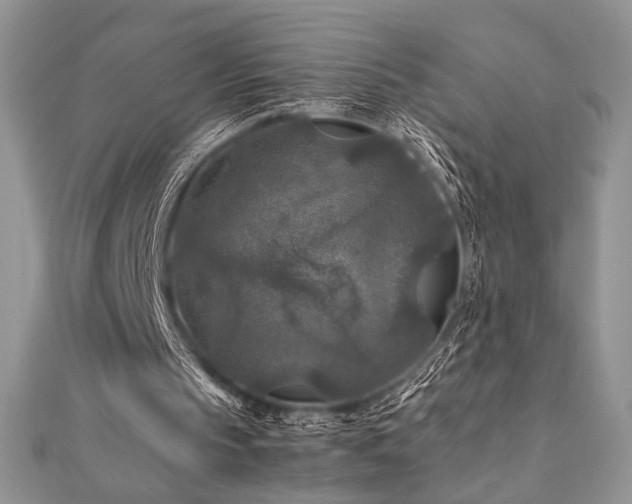 X0000112010145200908031313