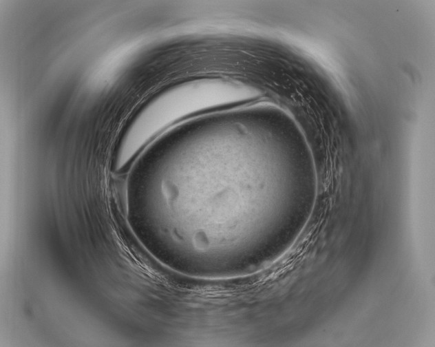 X0000112010146200908031313