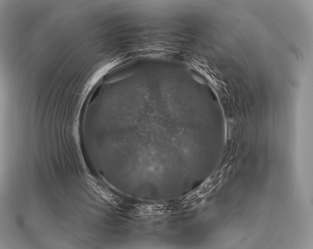 X0000112010147200908031314