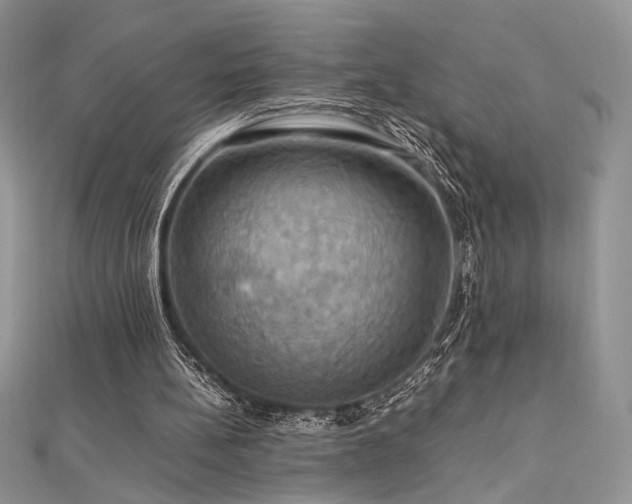 X0000112010148200908031314