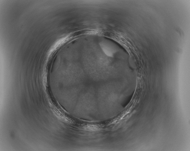 X0000112010149200908031314