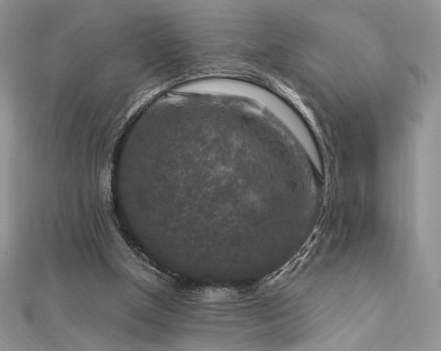 X0000112010154200908031314