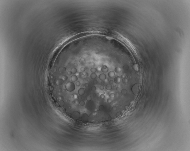 X0000112010155200908031314