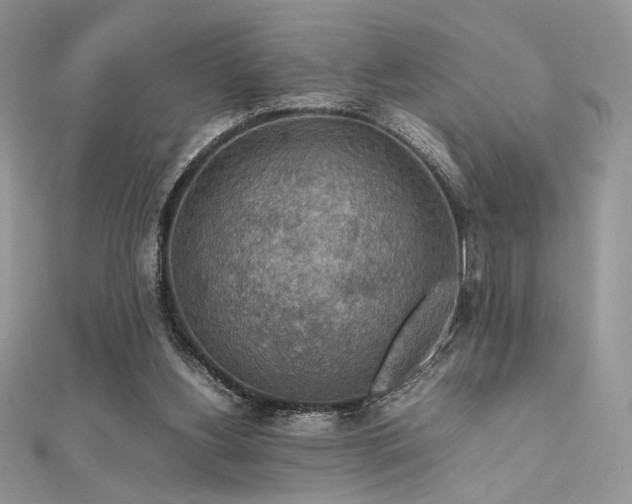 X0000112010156200908031314