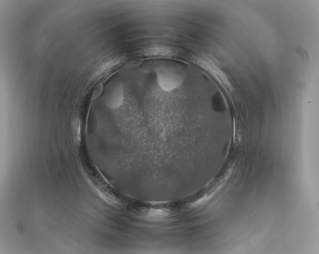 X0000112010157200908031314