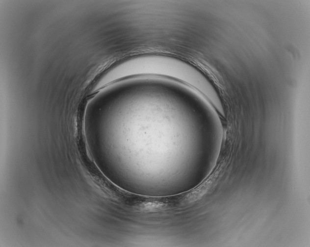 X0000112010158200908031314