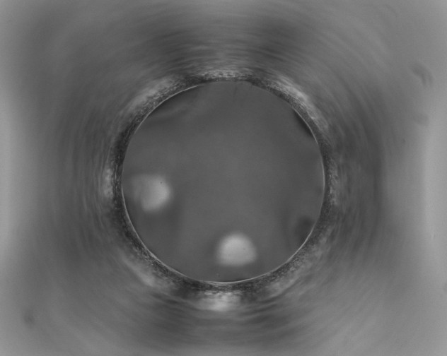 X0000112010161200908031314