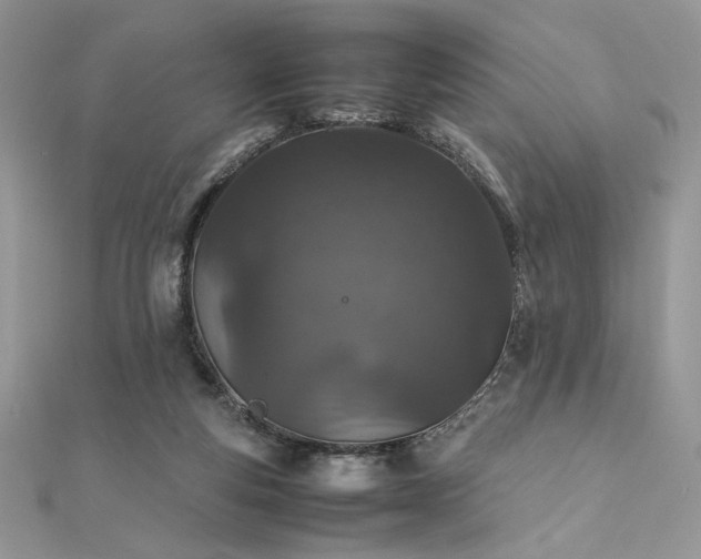 X0000112010163200908031314