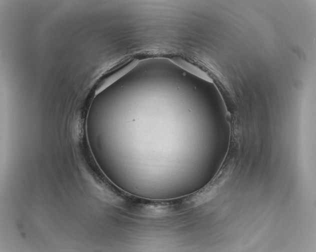 X0000112010164200908031314