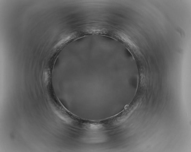 X0000112010165200908031314