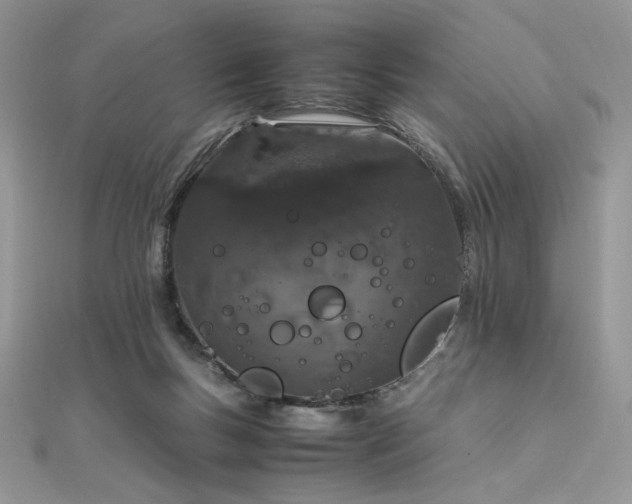 X0000112010167200908031314