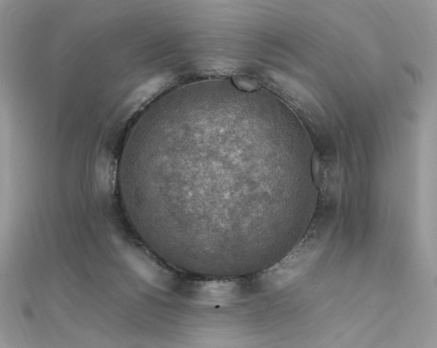 X0000112010168200908031314