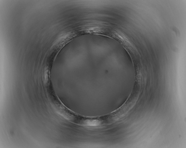 X0000112010169200908031314