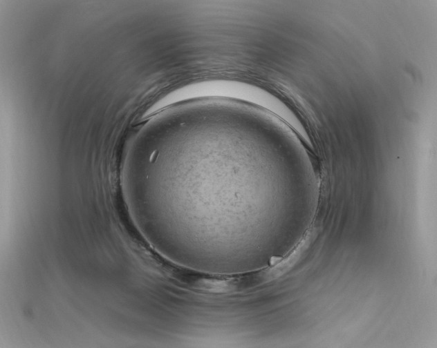 X0000112010170200908031314