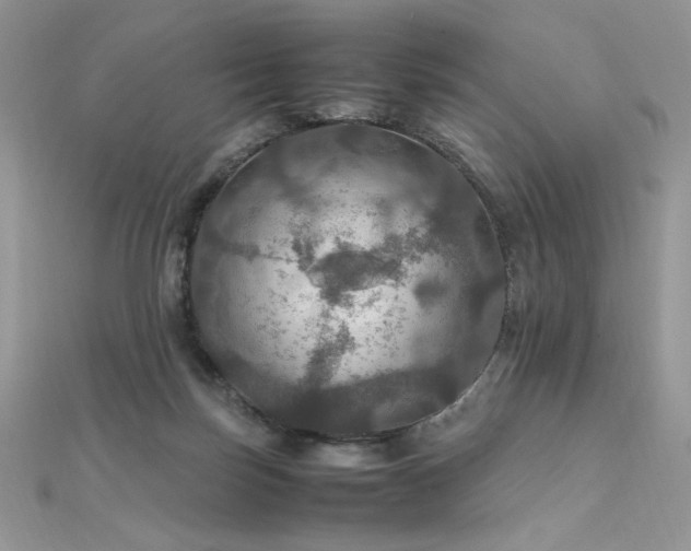 X0000112010171200908031314