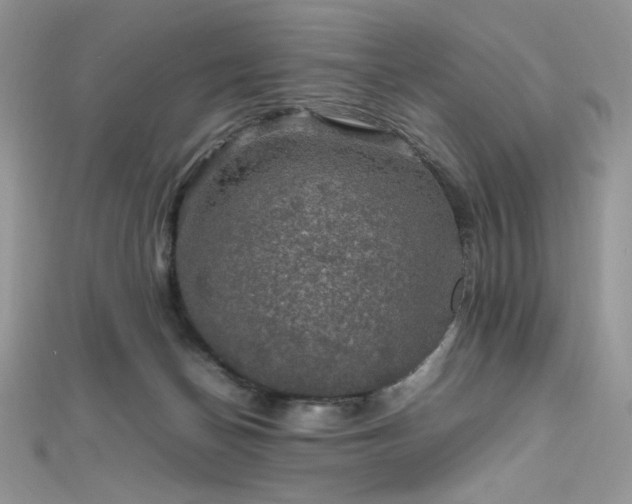 X0000112010174200908031314