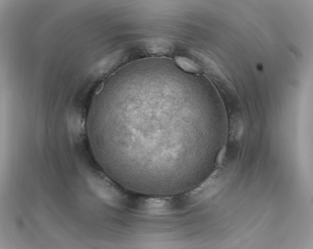 X0000112010176200908031314