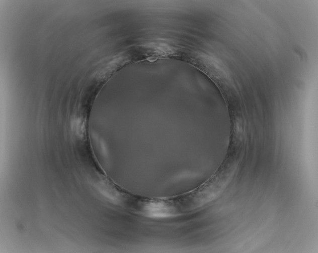 X0000112010177200908031314