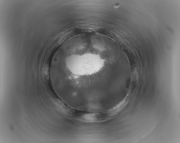 X0000112010178200908031314