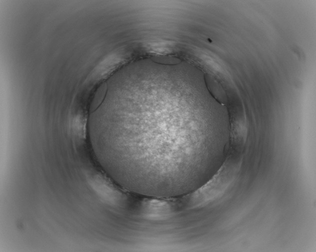 X0000112010180200908031314