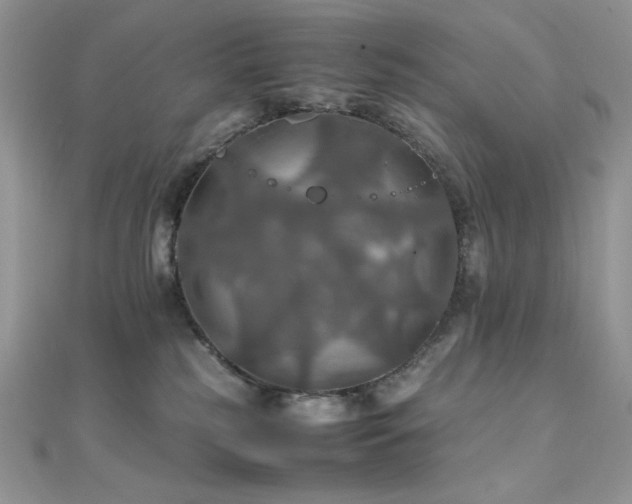 X0000112010185200908031314